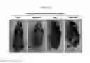 Fig. 05 - PSORIASIS-INDUCED ANIMAL MODEL AND USE THEREOF