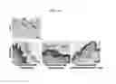 Fig. 08 - PSORIASIS-INDUCED ANIMAL MODEL AND USE THEREOF