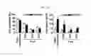 Fig. 17 - PSORIASIS-INDUCED ANIMAL MODEL AND USE THEREOF