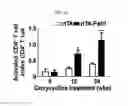 Fig. 19 - PSORIASIS-INDUCED ANIMAL MODEL AND USE THEREOF