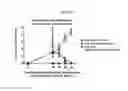 Fig. 24 - PSORIASIS-INDUCED ANIMAL MODEL AND USE THEREOF