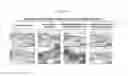 Fig. 25 - PSORIASIS-INDUCED ANIMAL MODEL AND USE THEREOF