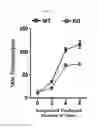 Fig. 29 - PSORIASIS-INDUCED ANIMAL MODEL AND USE THEREOF