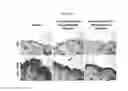 Fig. 32 - PSORIASIS-INDUCED ANIMAL MODEL AND USE THEREOF