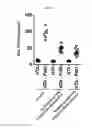 Fig. 34 - PSORIASIS-INDUCED ANIMAL MODEL AND USE THEREOF