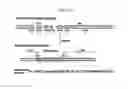 Fig. 35 - PSORIASIS-INDUCED ANIMAL MODEL AND USE THEREOF