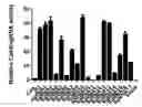 Fig. 01 - Genetically modified non-human animal with human or chimeric PD-L1