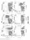 Fig. 18 - Genetically modified non-human animal with human or chimeric PD-L1