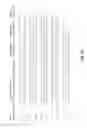 Fig. 22 - Genetically modified non-human animal with human or chimeric PD-L1