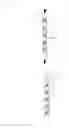 Fig. 04 - ANTIBACTERIAL FIBER
