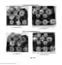 Fig. 12 - COATING COMPOSITIONS AND METHODS OF USE THEREOF