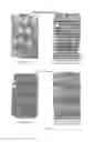 Fig. 13 - COATING COMPOSITIONS AND METHODS OF USE THEREOF