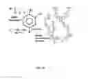 Fig. 19 - COATING COMPOSITIONS AND METHODS OF USE THEREOF