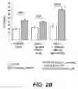 Fig. 04 - Probiotic compositions and methods