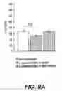 Fig. 11 - Probiotic compositions and methods