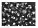 Fig. 01 - Oil-in-water type emulsion composition, and method for producing said oil-in-water type emulsion composition