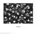Fig. 02 - Oil-in-water type emulsion composition, and method for producing said oil-in-water type emulsion composition