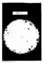 Fig. 02 - PROCESSING OF PERENNIAL RYE GRASS (LOLIUM PERENNE) FOR HUMAN CONSUMPTION