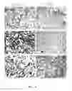 Fig. 05 - Method of Plant Resin Separation and Extraction