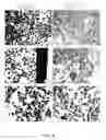 Fig. 06 - Method of Plant Resin Separation and Extraction