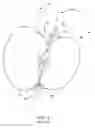 Fig. 03 - Produce orientor
