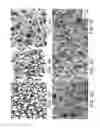 Fig. 06 - SEAMLESS WEARABLE STRUCTURE GARMENT