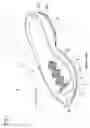 Fig. 02 - Sole structure and shoe including same