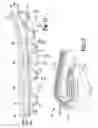 Fig. 11 - Sole structure for article of footwear