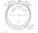 Fig. 01 - NECKLACE