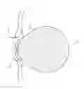 Fig. 01 - CONTACT LENS CONTAINER WITH BIOMARKER DETECTION