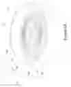 Fig. 05 - COSMETIC CONTAINER WITH SWIRLING SURFACE