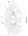 Fig. 08 - COSMETIC CONTAINER WITH SWIRLING SURFACE