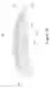 Fig. 11 - COSMETIC CONTAINER WITH SWIRLING SURFACE