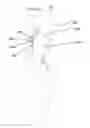 Fig. 03 - Chair Sherpa