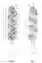 Fig. 03 - Cosmetic Product Applicator