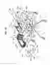 Fig. 11 - Chair