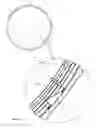 Fig. 155 - Single-use food preparation container assembly, system and method