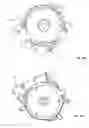 Fig. 74 - Single-use food preparation container assembly, system and method