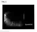 Fig. 07 - Evaluation value calculation device and electronic endoscope system