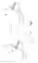 Fig. 08 - Endoscopy system