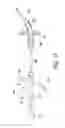 Fig. 10 - INDWELLING BLADDER CATHETER