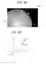 Fig. 06 - Ophthalmologic apparatus and method of controlling the same