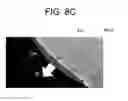 Fig. 11 - Ophthalmologic apparatus and method of controlling the same
