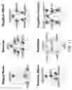 Fig. 12 - Systems and methods for detecting complex networks in MRI image data