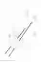 Fig. 04 - PNEUMOPERITONEUM DEVICE