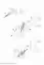 Fig. 06 - PNEUMOPERITONEUM DEVICE