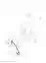 Fig. 09 - PNEUMOPERITONEUM DEVICE