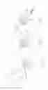Fig. 27 - PNEUMOPERITONEUM DEVICE