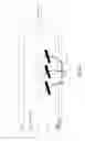 Fig. 13 - Minimally-invasive tissue suturing device