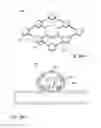 Fig. 27 - Occlusive devices